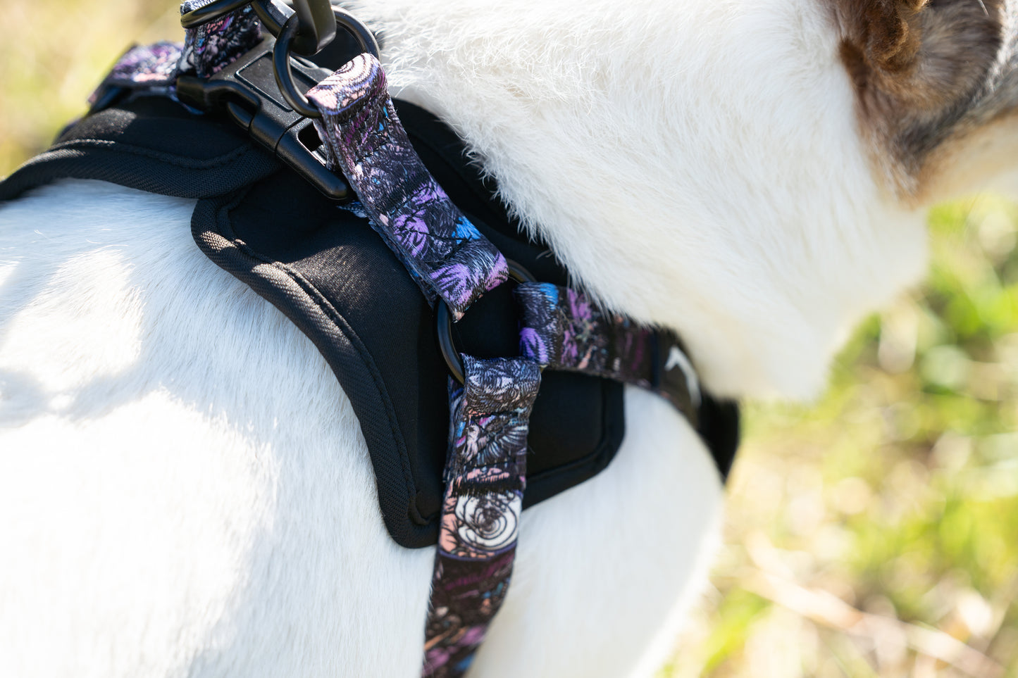 TRIANGLE HARNESS - SCHOPH WOLF