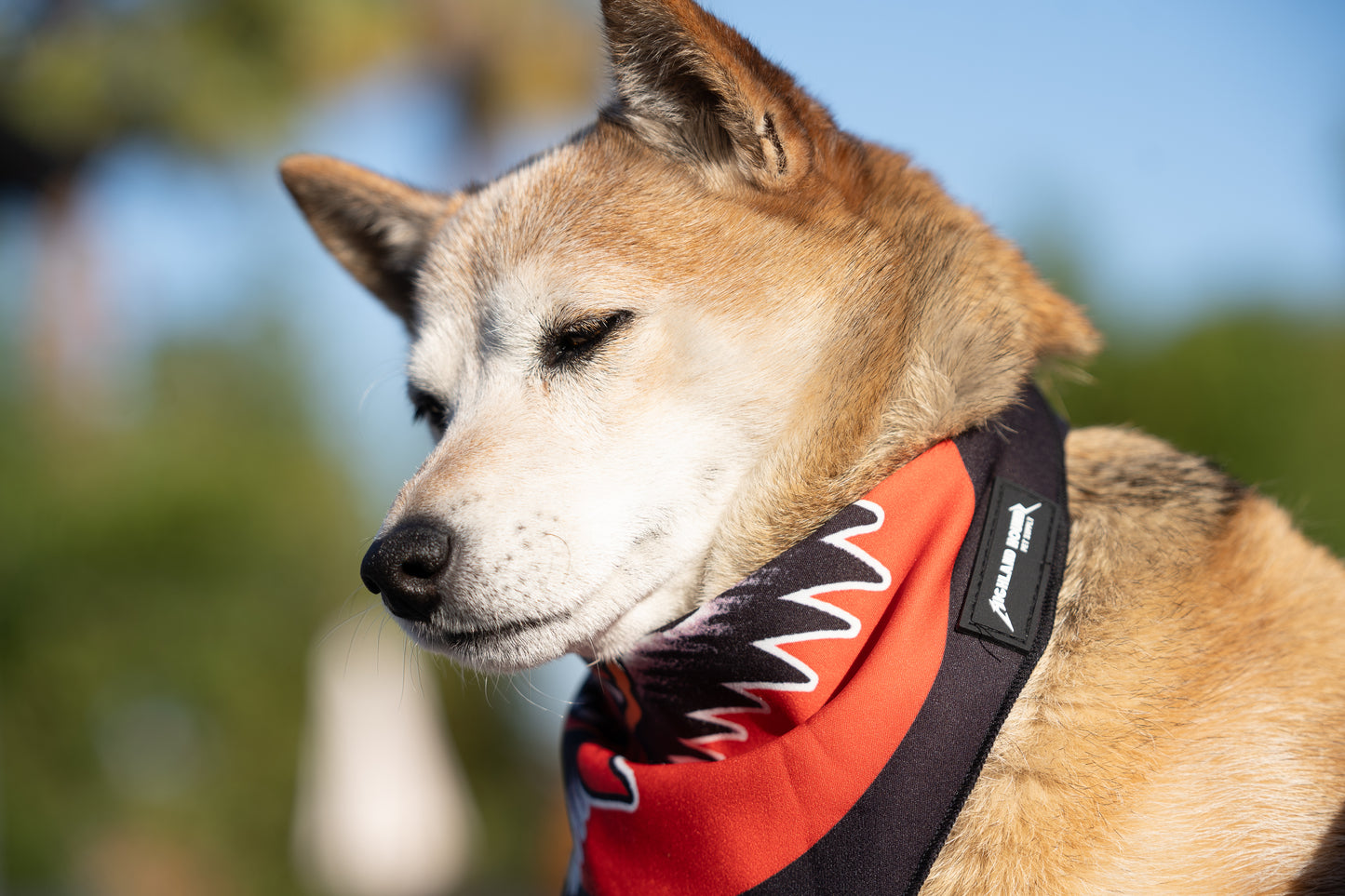 BANDANA - WOLF HEAD